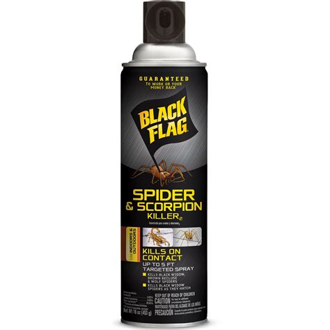 Buy Black Flag Spider And Scorpion Killer 16 Ounces Aerosol