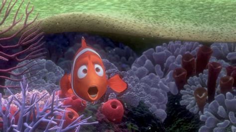 3 Nemo Gets Captured Oh No On Vimeo