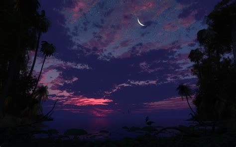 2560x1600 Sky Moon Stars Lake Coast Night Tropics Stones