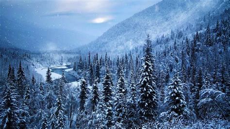 Nature Landscape Mist Forest Mountains River Snow Winter Cold