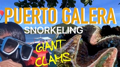 Puerto Galera Giant Clams Snorkeling Tour Youtube