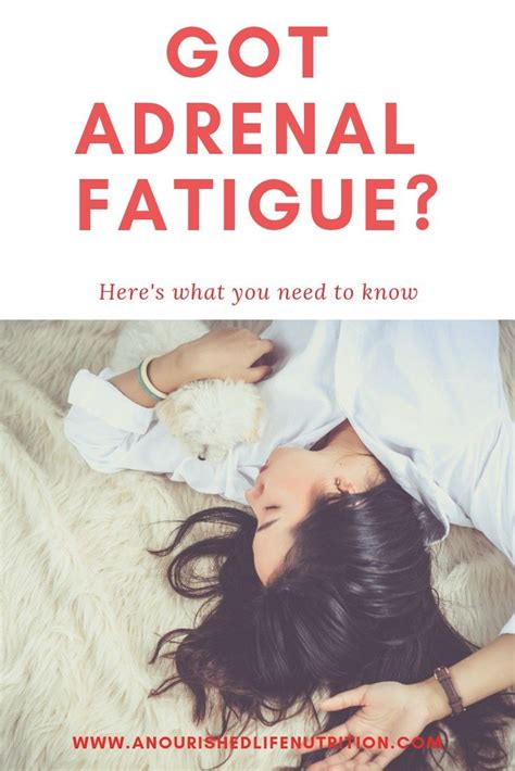Adrenals 101 A Nourished Life Adrenal Fatigue Adrenals Adrenal Health