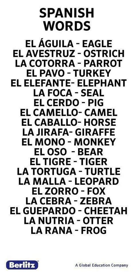 Spanish Words For Animalsi Did Not Know Many Of These And They Are