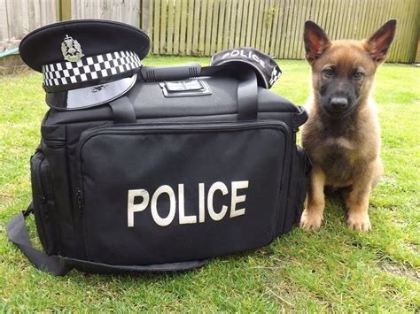 Police Scotland Dogs On Twitter Guard Dog Training Police Dog