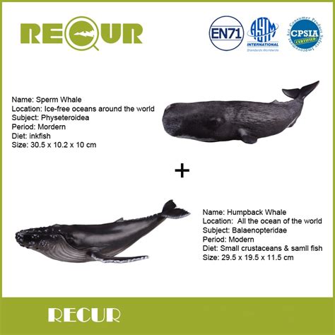 2 Pcslot Recur Toys Sperm Whalehumpback Whale Sea Life Model Delicate