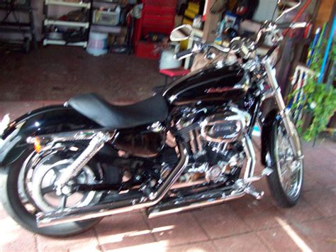`07 Sportster Xl 1200 Custom Harley Davidson Forums