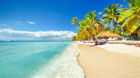 República Dominicana 2021 Os 10 Melhores Tours Viagens E Atividades