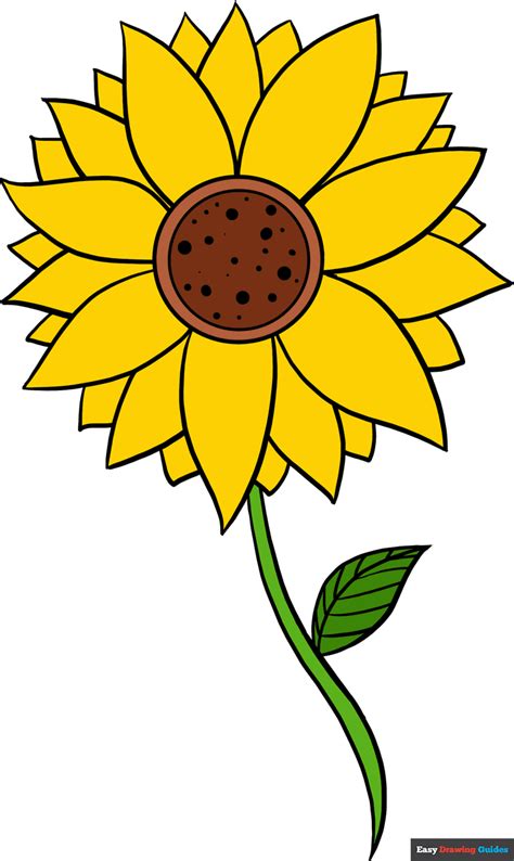 How To Draw A Sunflower Really Easy Drawing Tutorial