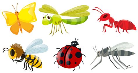 Different Types Of Insects Vector Art At Vecteezy