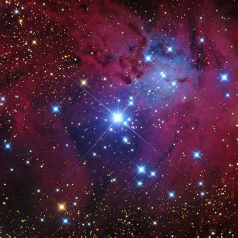 Sh2 273 Fox Fur Nebula And Asteroid 2152 Hannibal