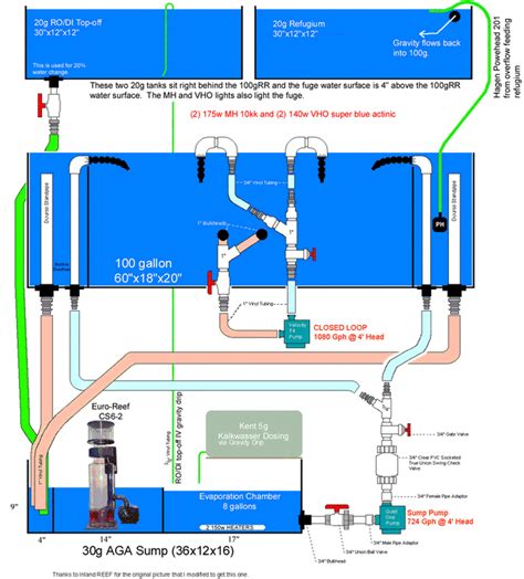 Sump Reef Aquarium