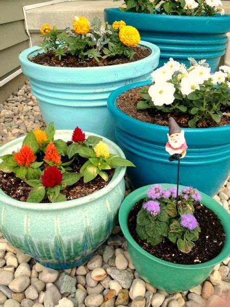 Remove most of the potting mix from your pot. flower pots, container gardening | Paint garden pots ...