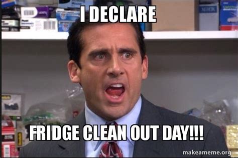 I Declare Fridge Clean Out Day Meme Generator