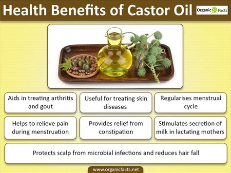 The Health Benefits Of Castor Oil Include Relief From Rheumatism