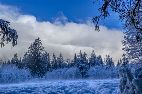 Beautiful Winter Landscape Free Stock Photo Public Domain Pictures