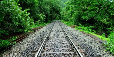 Seven Best Train Routes In India That Take You Close To Nature Antilog Vacations Travel Blog