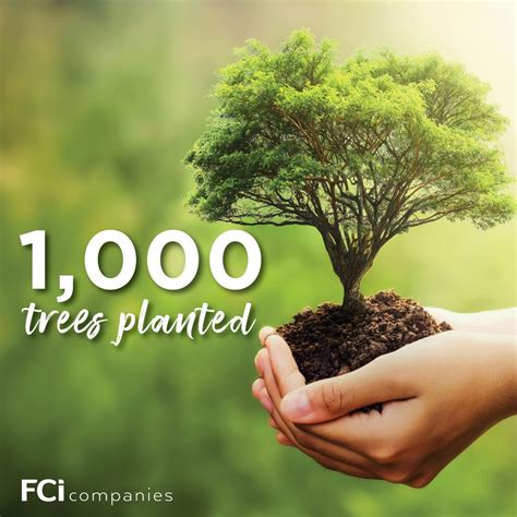 1000 Trees Planted Facility Concepts