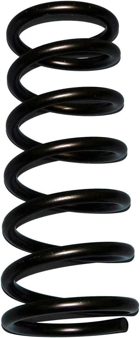 Skyjacker D20 Front 2 Lift Softride Coil Spring Set Of 2