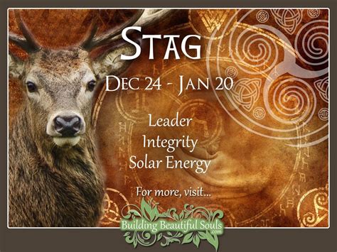 Stag Or Deer Celtic Zodiac Sign December 24 January 20 Learn All