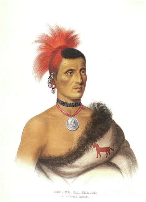 Peskelechaco Pawnee Chief S3 Painting By Historic Illustrations Fine