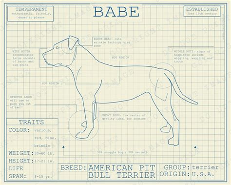 Dog Breed Blueprint Custom Pet Portrait Pit Bull Terrier Etsy