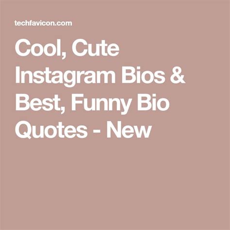 Cool Cute Instagram Bios And Best Funny Bio Quotes New