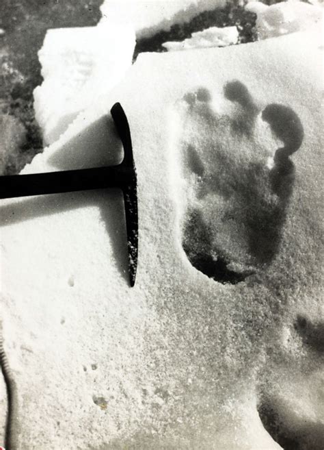 Yeti Footprints Photographed In Snow In Bhutan Daily Star