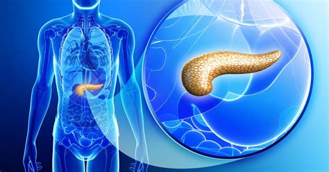 10 Facts About Exocrine Pancreatic Insufficiency Facty Health