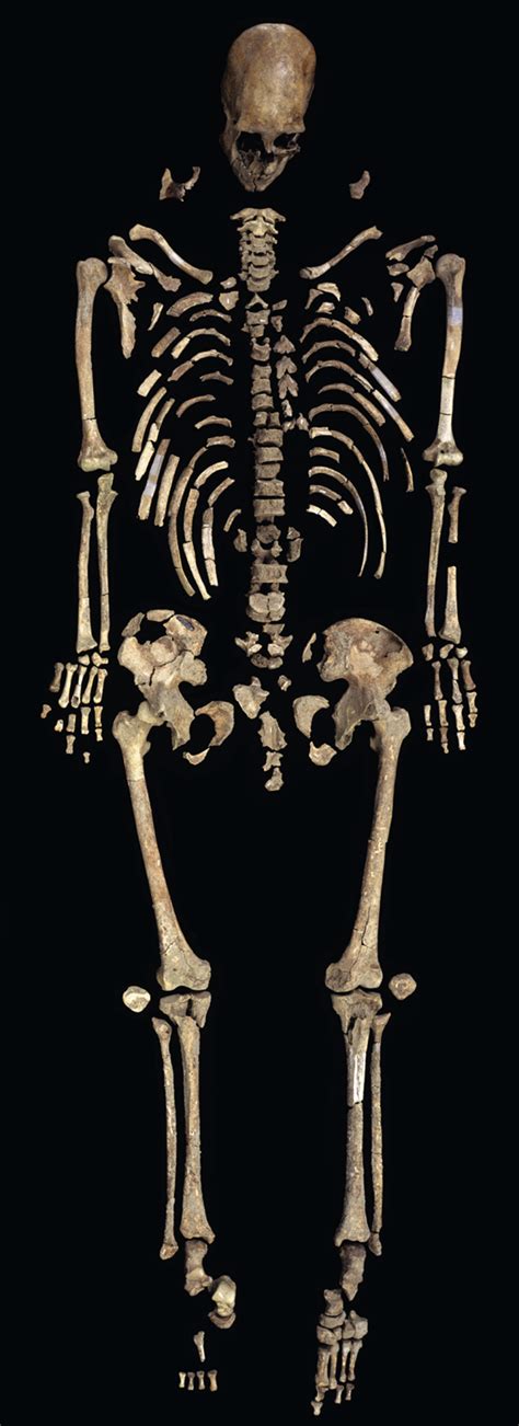 a long complicated battle over 9 000 year old bones is finally over kennewick man native