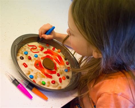 To view animal cells in their true size, students need to use a microscope. Craft Knife: Edible Plant and Animal Cells