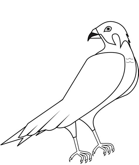 Hawk Coloring Page Colouringpages