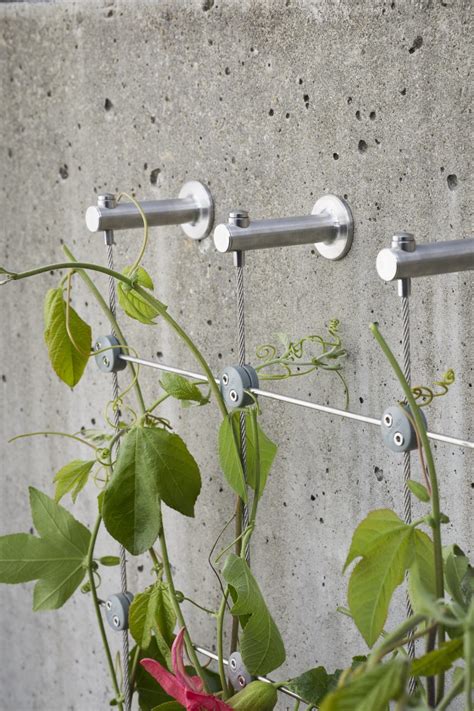 Greenkits For Creating Stainless Steel Garden Trellises Jakob