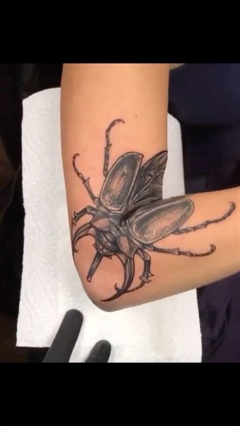 Thehorrorgallery On Instagram Say Hello To The Elusive Elbow Beetle 🪲