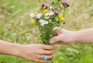 When the first tear shows. 35 Little Acts of Kindness