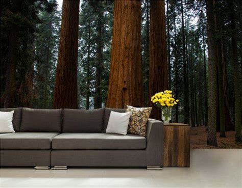 Forest Wall Mural Sequoia Wall Mural Sequoia Forest Wallpaper Big