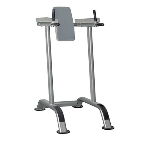 Gym Leg Raise Machine At Rs 9500 फिटनेस मशीन In Kolkata Id 9341695873