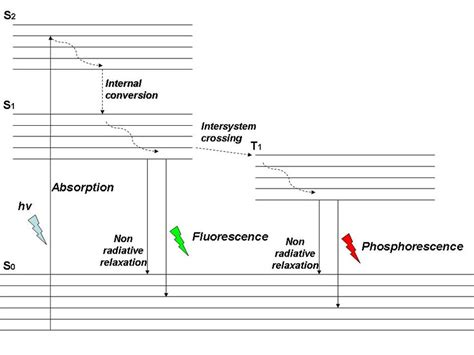 1 1 Principles Of Fluorescence And Phosphorescence Illustrated In A Download Scientific