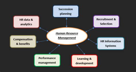 The Basics Of Human Resource Management Cue Media