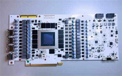 Galax Geforce Rtx Ti Hof Oc Lab Edition Pcb Spotted In The Nude
