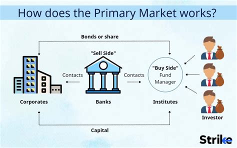 Primary Market Definition Types And Instruments Used 2