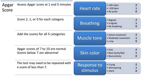 Free 2022 Neonatal Study Guide Neonatal Resuscitation Made Easy