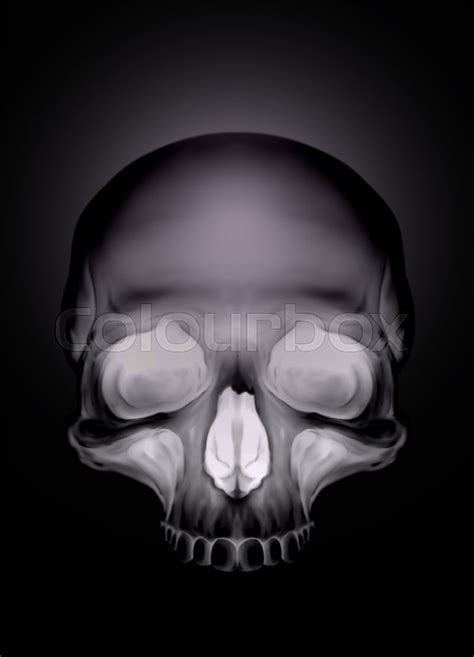 Black Graphic Human Skull With White Eyes X Ray Style Illustration