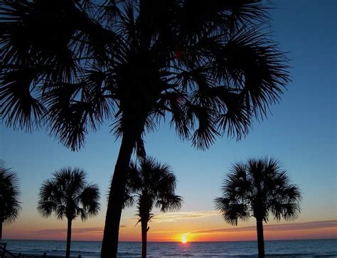 Going To Myrtle Beach This Weekend Palm Trees Ocean Breeze Salty