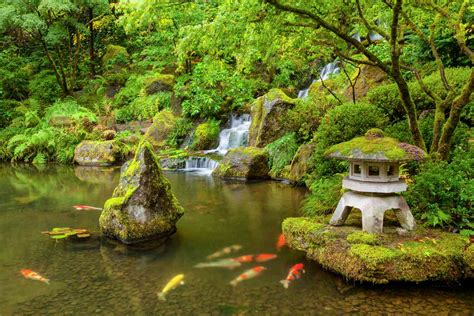 24 Stunning Koi Pond Design Ideas