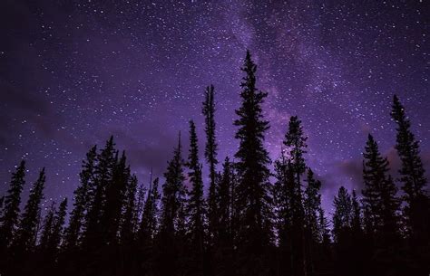 Stars Forest Woods Night Sky Dark Landscape Galaxy Nature