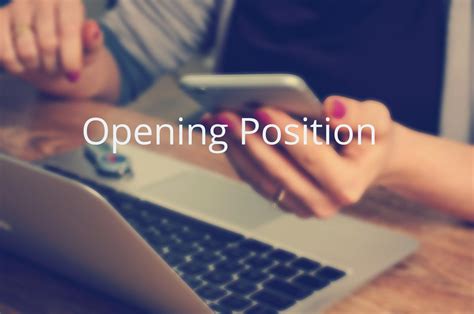 Opening Position Sales Area Engineer Keopsys