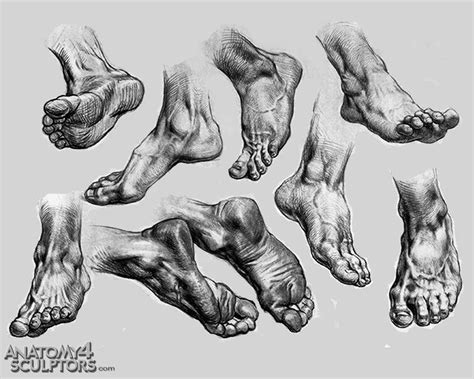 Drawing Art Feet Human Anatomy Foot Reference Tutorial Toes References