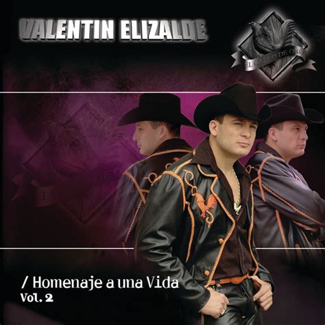 Porque Te Extraño Song And Lyrics By Valentín Elizalde Spotify