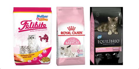 Review makanan kucing kitchen flavor grain free. 15 rekomendasi makanan untuk kucing menyusui [2020 ...