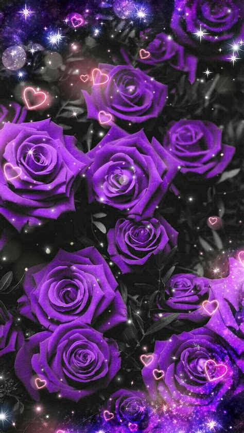 Download Aesthetic Purple Roses With Hearts Wallpaper